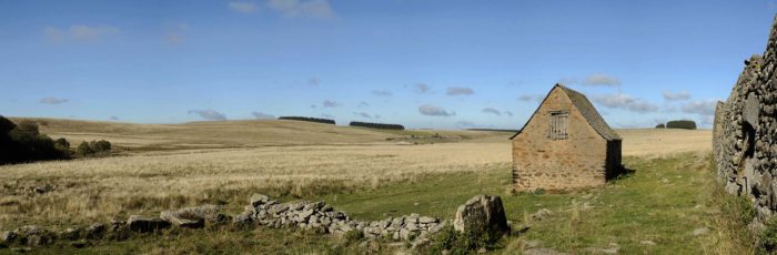 Aubrac