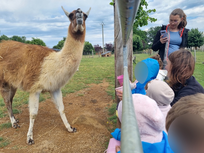 Ferme Bornottes découverte animaux Micro-crèches juin 2022