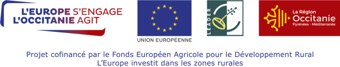 Logo-Europe-Leader